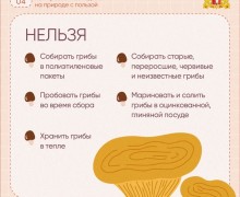 Судя по прогнозам синоптиков, нас ждут теплые выходные!