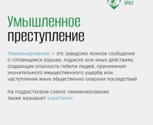 Ложный вызов о взрыве в школе обернулся условным сроком для жителя Ивделя