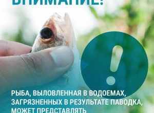 Специалисты предупредили жителей Свердловской области об опасности употребления рыбы из паводковых вод