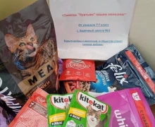 Пушистый атом помогает: продолжается акция по сбору кормов для бездомных животных