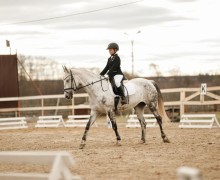 Воспитанницы клуба Добрая лошадь привезли 13 медалей с соревнований!