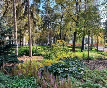 Кажется, последний день лета на Среднем Урале выпал на 23 сентября