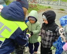 Сотрудники Госавтоинспекции провели акцию «Засветись» совместно с воспитанниками детского сада «Солнышко»