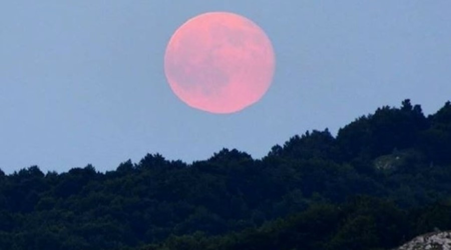 В небе над Свердловской областью взойдет «Розовая луна»