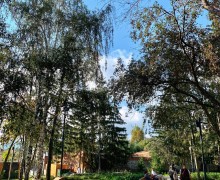 Кажется, последний день лета на Среднем Урале выпал на 23 сентября