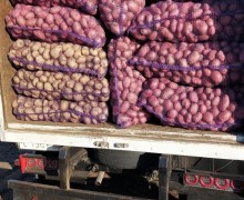 Продажа картофеля и лука в Белоярском районе