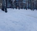 Жителей Курчатова, 27 и других ближайших домов приглашают построить снежную горку для детей