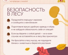 Судя по прогнозам синоптиков, нас ждут теплые выходные!