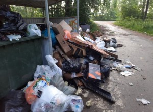 Жители Муранитного пожаловались на редкий вывоз мусора