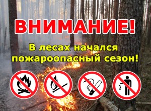 С 5 апреля в Свердловской области объявлен пожароопасный сезон