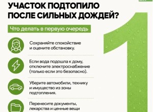Подтопление участка после дождя: инструкция для жителей