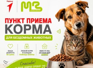 В Молодёжном центре Заречного начал работать постоянный пункт сбора корма для бездомных животных