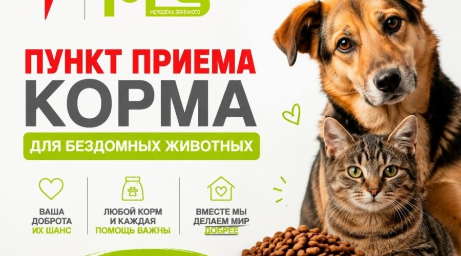 В Молодёжном центре Заречного начал работать постоянный пункт сбора корма для бездомных животных