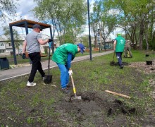 В субботу, 17 мая, в Курманском парке высадили яблоневую аллею