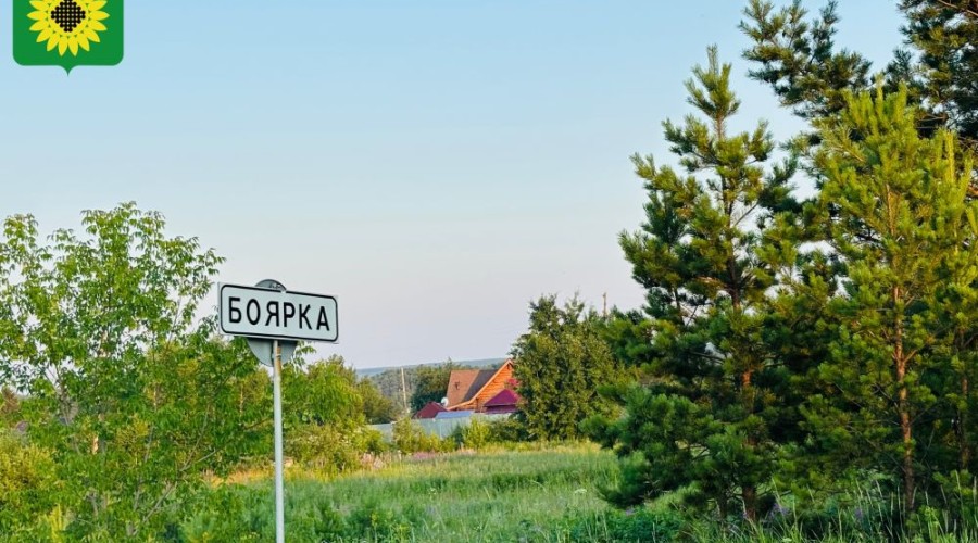 В Боярке выбрали подрядчика для благоустройства территории за клубом