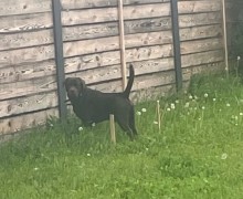 В Мезенке
