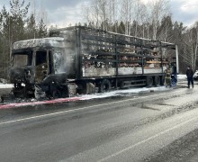 период с 17 марта по 23 марта 2025 года на территории обслуживаемой отделом Госавтоинспекции МО МВД России «Заречный» зарегистрировано 20 дорожно-транспортных происшествия