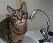 21.05.2024 - будет отключена горячая вода