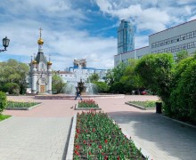 Уральскую столицу украсили распустившиеся тюльпаны