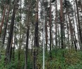 В лесопарке у дома на Лермонтова, 29 установили освещение