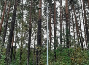 В лесопарке у дома на Лермонтова, 29 установили освещение