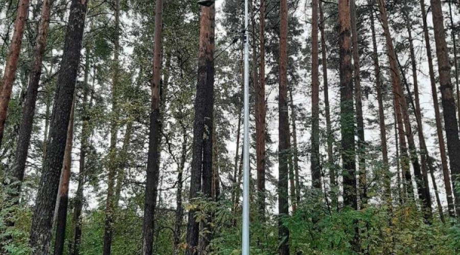 В лесопарке у дома на Лермонтова, 29 установили освещение