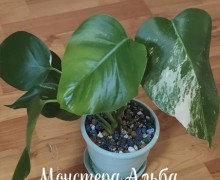 Продаю