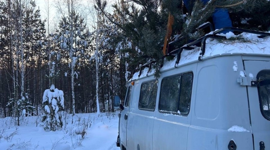 В ХРАМ ПОКРОВА ПРИВЕЗЛИ ЕЛКИ