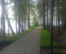 Наслаждаемся тёплыми летними вечерами и гуляем по строящейся экотпропе