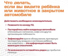 Памятка «Ни минуты без присмотра» напоминает о рисках оставления детей и домашних питомцев в автомобиле