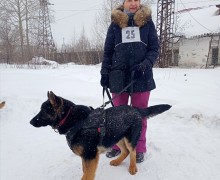 В выходные зареченские собачники соревновались в Асбесте на Зарничке