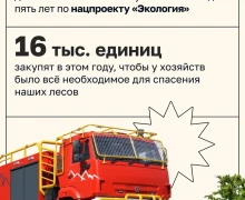 Сократить площадь лесных пожаров в России вдвое к 2030 году 