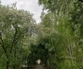 Зареченцы выбрали для благоустройства аллею от Дома торговли до УрТК