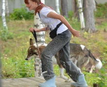 В субботу, 16 августа, под Асбестом прошла Гонка героев, в которой участвовали команды человек и собака