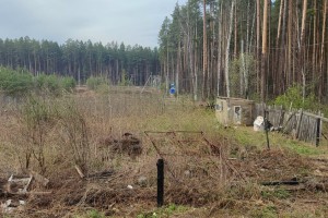 Кошение травы и деревьев на участке 10 соток