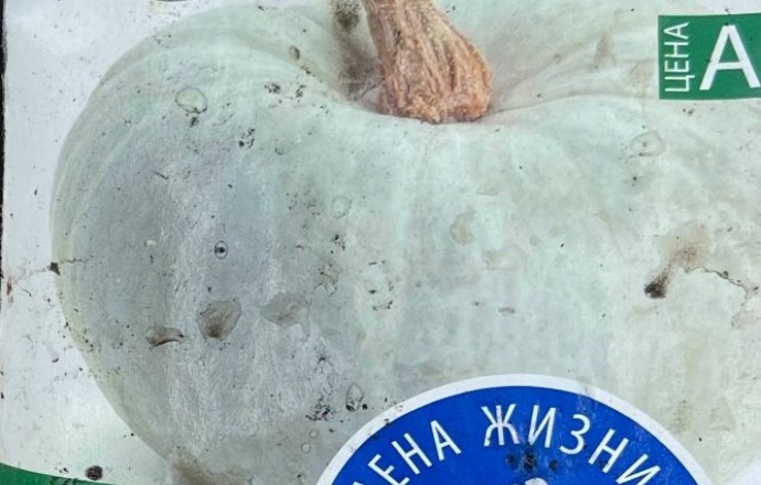 Продам тыквы