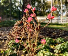 Кажется, последний день лета на Среднем Урале выпал на 23 сентября