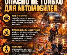 Мокрые листья на дорогах Заречного: как безопасно передвигаться осенью