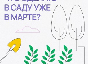 Начало весны: пора оживлять ваш сад