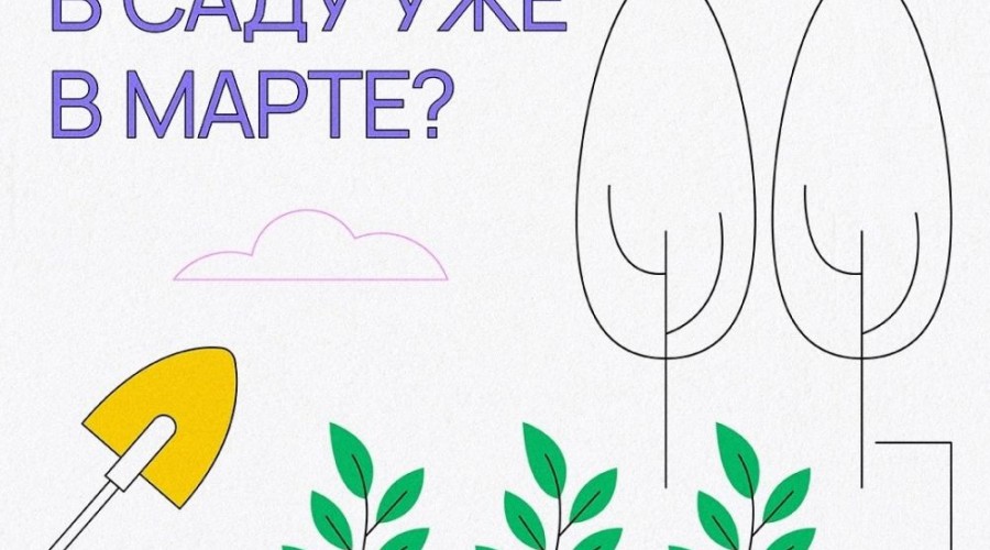 Начало весны: пора оживлять ваш сад