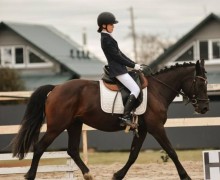 Воспитанницы клуба Добрая лошадь привезли 13 медалей с соревнований!