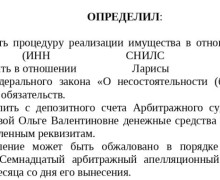 Банкротство за 9 месяцев: юристы Заречного списали долг Ларисы на 1,1 млн рублей