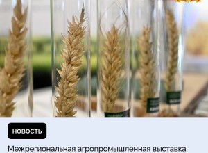 XIII Межрегиональная агропромышленная выставка УрФО пройдёт в Екатеринбурге в октябре на площадке МВЦ «Екатеринбург – ЭКСПО»