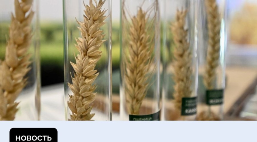 XIII Межрегиональная агропромышленная выставка УрФО пройдёт в Екатеринбурге в октябре на площадке МВЦ «Екатеринбург – ЭКСПО»