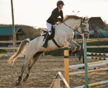 Воспитанницы клуба Добрая лошадь привезли 13 медалей с соревнований!