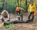 Шарташский лесной парк стал центральной площадкой всероссийского субботника «Зеленая Россия» в нашем регионе