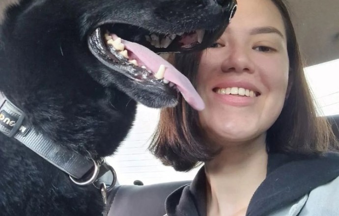 Черный кот по кличке Блэк ищет хозяев