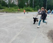 В Заречном прошёл четвёртый «Собачий переполох»