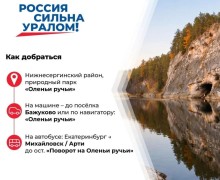 Природный парк «Оленьи ручьи»: популярное место отдыха в Свердловской области