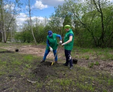 В субботу, 17 мая, в Курманском парке высадили яблоневую аллею